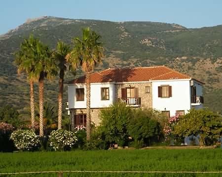 Islands Apartments Πέτρα Εξωτερικό φωτογραφία