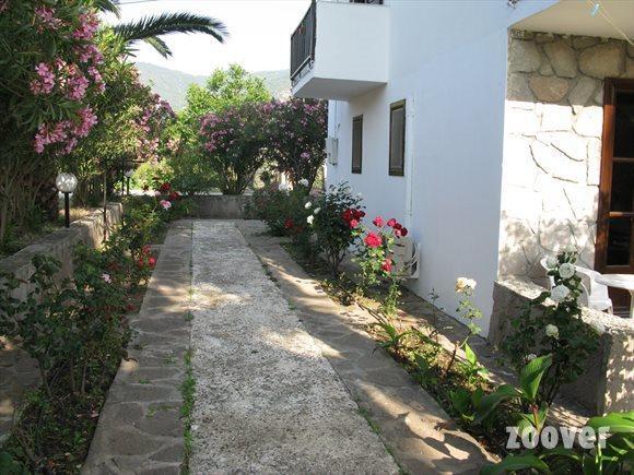 Islands Apartments Πέτρα Εξωτερικό φωτογραφία
