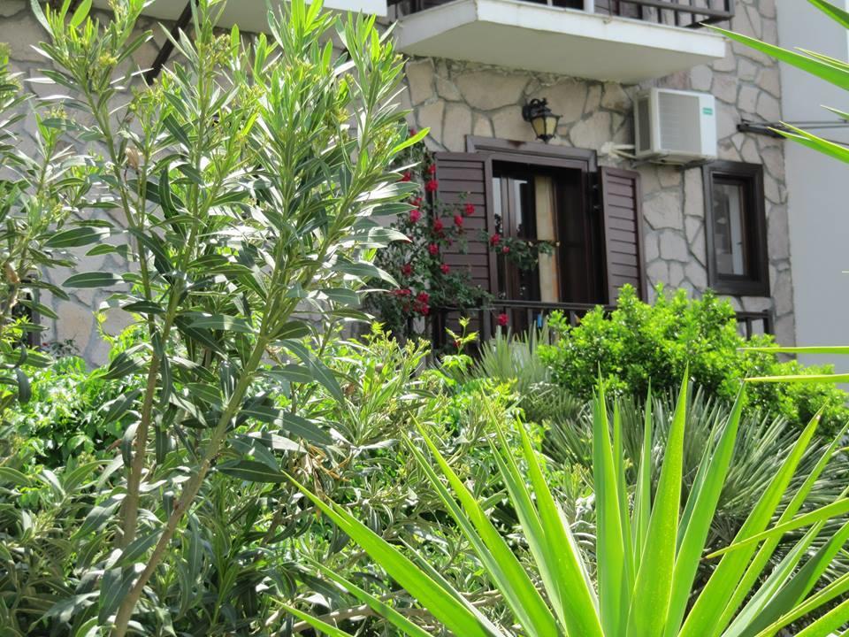 Islands Apartments Πέτρα Εξωτερικό φωτογραφία