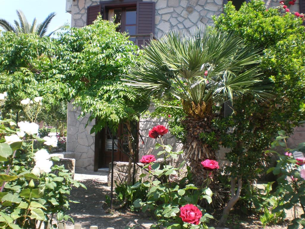 Islands Apartments Πέτρα Εξωτερικό φωτογραφία