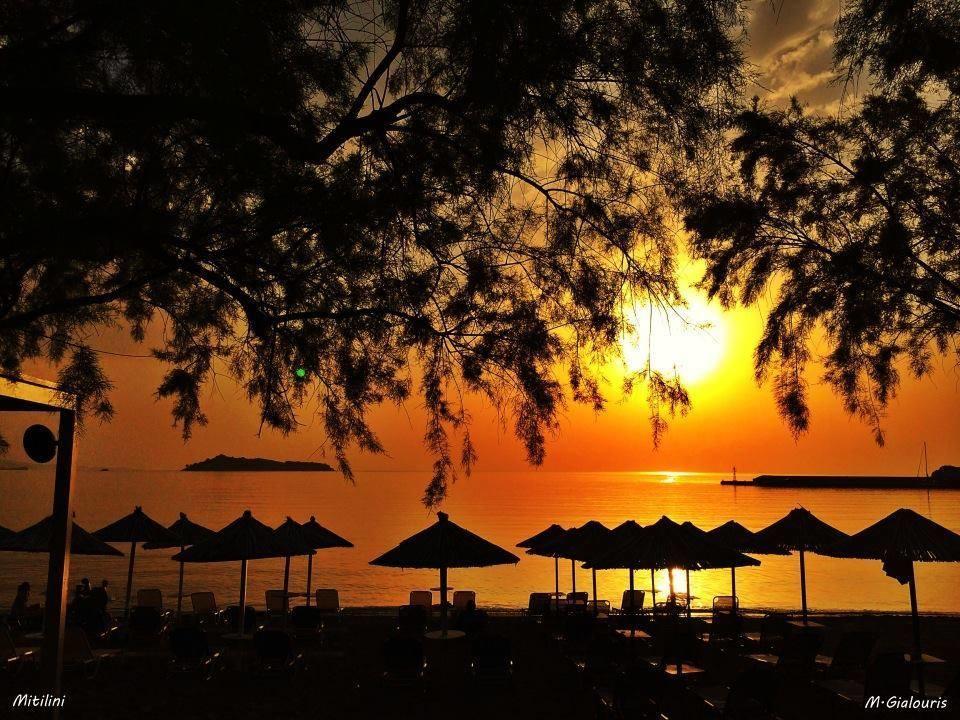 Islands Apartments Πέτρα Εξωτερικό φωτογραφία