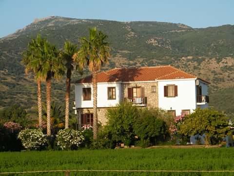 Islands Apartments Πέτρα Εξωτερικό φωτογραφία